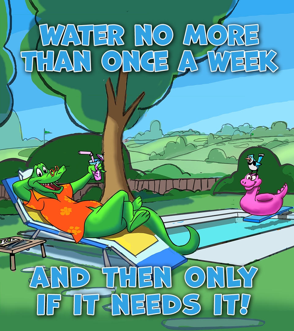 water no more than once a week